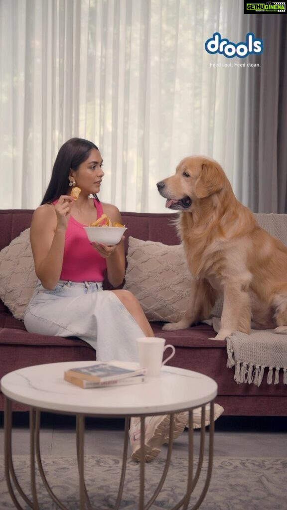 Mrunal Thakur Instagram - These cute little doggo eyes aren’t always gonna work, Aaryan😤! Though, I’d want something thats the best for you always and ofc its drools❤️ @droolsindia Always Feeds Real, Feeds Clean! #droolsindia #pets #petfood #petlovers #pet #dogs #dog