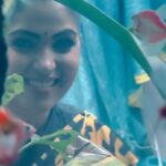Muktha Instagram - 🌊 🐟 🌊 🐠 🌊 💙