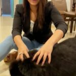 Naina Ganguly Instagram - A true friend leaves paw prints on your heart! 🐶 ❤ . . . . . . . . . . . . . . . . . . #feelitreelit #feelkaroreelkaro #feelkorboreelkorbo #newreel #newreels #reelsinstagram #reelsinsta #reels #charlie #charlie777 #dog #doglover #dogofinstagram #tollywood #tollywoodactress #nainaganguly
