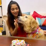 Natasha Doshi Instagram – We couldn’t celebrate Noraa’s birthday this year, so to make up we celebrated her homecoming day instead! 🥰 
And @barkersdzn made it super pawsome for my baby @noraathegoldieprincess ❤️ Thankyou!! 
Norii loved her cake 🦄🫶🏻
Ps – watch till the end to see Noraa on her first homecoming day!
🧁 – @barkersdzn 

.
.
.
. 
#dogreels #feelitreelit #goldenretriever #dogsofinstagram #instareels #reels #natashadoshi #noraathegoldie #goldensofinstagram #cutestgoldens #goldenlove #pamperedpooch #dogs #mybaby