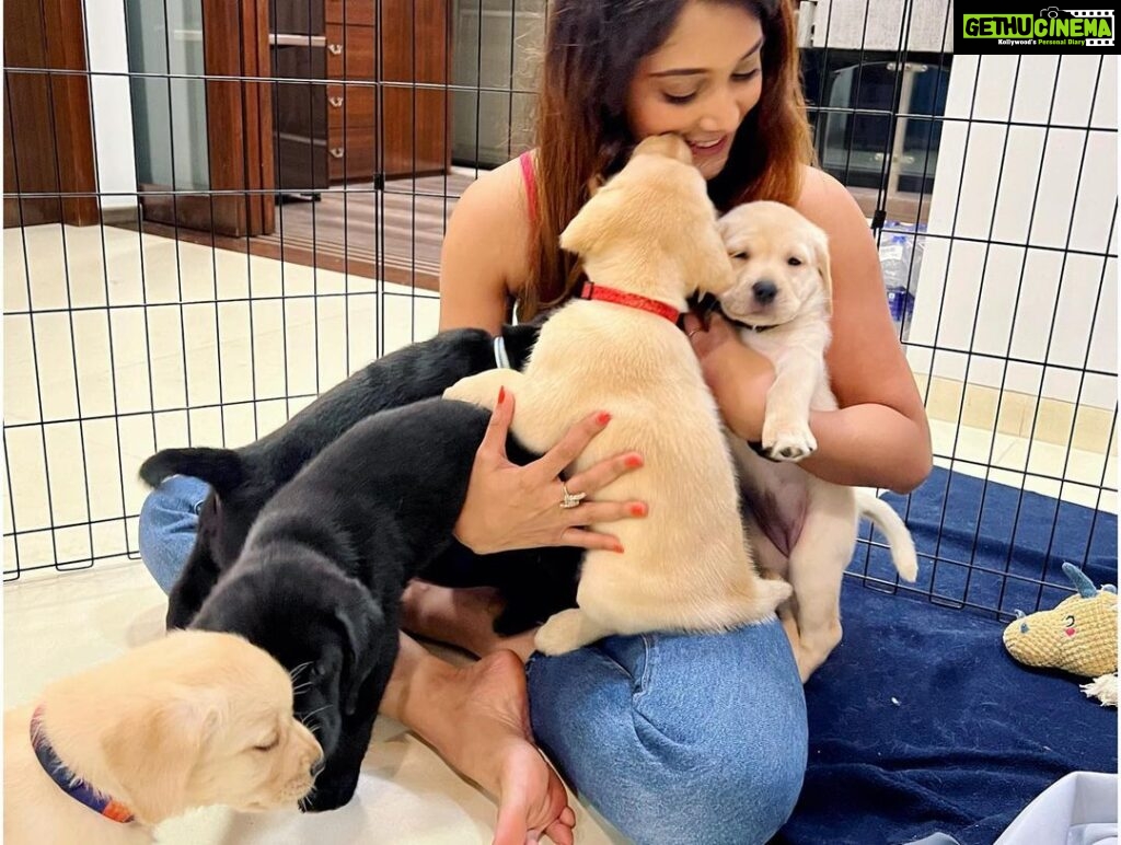 Natasha Doshi Instagram - Incase you didn’t already know, I love animals 💕 Ps - using this to urge all of you to be kinder to animals. They do no harm & yet are subjected to animal cruelty. As a country, we have terrible animal protection laws & while that will take a while to change, here’s what we can do - feed strays, donate to animal feeders / organisations which work for the cause & most importantly, even if you can’t / don’t want to do anything, don’t inflict pain on any animal. Educate & stop animal abuse if you witness it. Thankyou! 🫶🏻 . . . . #animals #dogsoverpeople #loveanimals #bekindtoanimals #photooftheday #petaindia #animalrightsactivist #kindessmatters