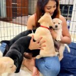 Natasha Doshi Instagram - Incase you didn’t already know, I love animals 💕 Ps - using this to urge all of you to be kinder to animals. They do no harm & yet are subjected to animal cruelty. As a country, we have terrible animal protection laws & while that will take a while to change, here’s what we can do - feed strays, donate to animal feeders / organisations which work for the cause & most importantly, even if you can’t / don’t want to do anything, don’t inflict pain on any animal. Educate & stop animal abuse if you witness it. Thankyou! 🫶🏻 . . . . #animals #dogsoverpeople #loveanimals #bekindtoanimals #photooftheday #petaindia #animalrightsactivist #kindessmatters