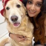 Natasha Doshi Instagram - Baby, I love you still & you know I always will ❤️ Happy birthday to the best good girl in the whole world @noraathegoldieprincess 🐶 May you always be as happy as the happiness you bring to everyone in the world 🥰🧿 Ps - stop growing up so quickly Norii 🥺 . . . . #happybirthdaynoraa #dogmom #goldenretriever #petsofinstagram #pamperedpets #noraathegoldie #noraa #natashadoshi #dogreels #feelitreelit #love #dog #cutestgoldens #myheart #instareels #lovelikenoother Mumbai, Maharashtra