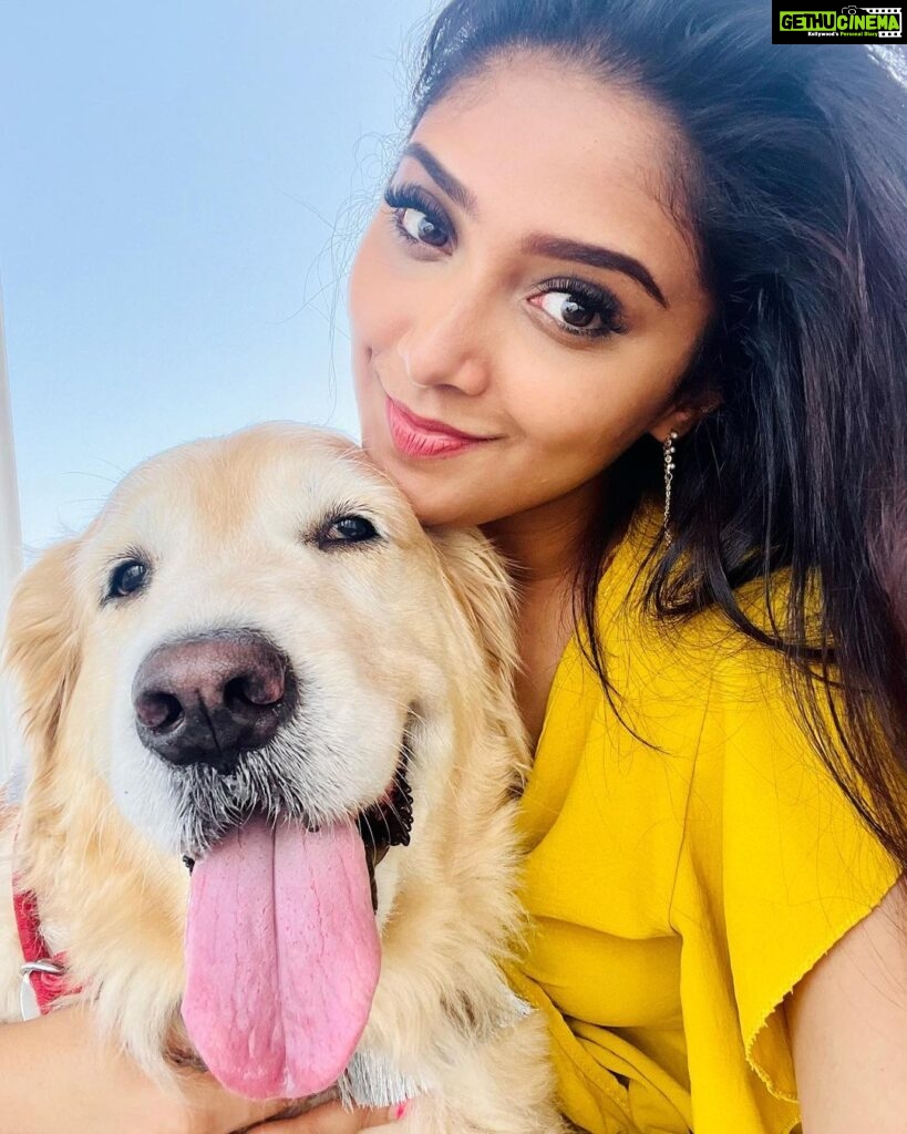 Natasha Doshi Instagram - Loading cuteness overload 🐶 . . #dogmom #bestofme #goldenretriever #dogsofinstagram #noraa #noraathegoldie #photooftheday #natashadoshi #dogsoverpeople #puppylove Mumbai, Maharashtra