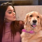 Natasha Doshi Instagram – World’s best doggo baby @noraathegoldieprincess ❤️❤️
#cutenessoverload #goldenretriever #noraathegoldie #petsofinstagram #goldenretrievers #babynd #mywholeheart #cutedogs #fluffypuppy #bestdogever #noraa #pamperedpooch