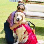 Natasha Doshi Instagram - Living to make this one’s tail wag ❤️🐶 . . . . #dogmom #dogmomlife #petparent #dogsofinstagram #natashadoshi #babynd #noraathegoldie #noraa #goldenretriever #goldenmom #goldensofinstagram #cutedogs #dogs #doggo #doglove #mybaby