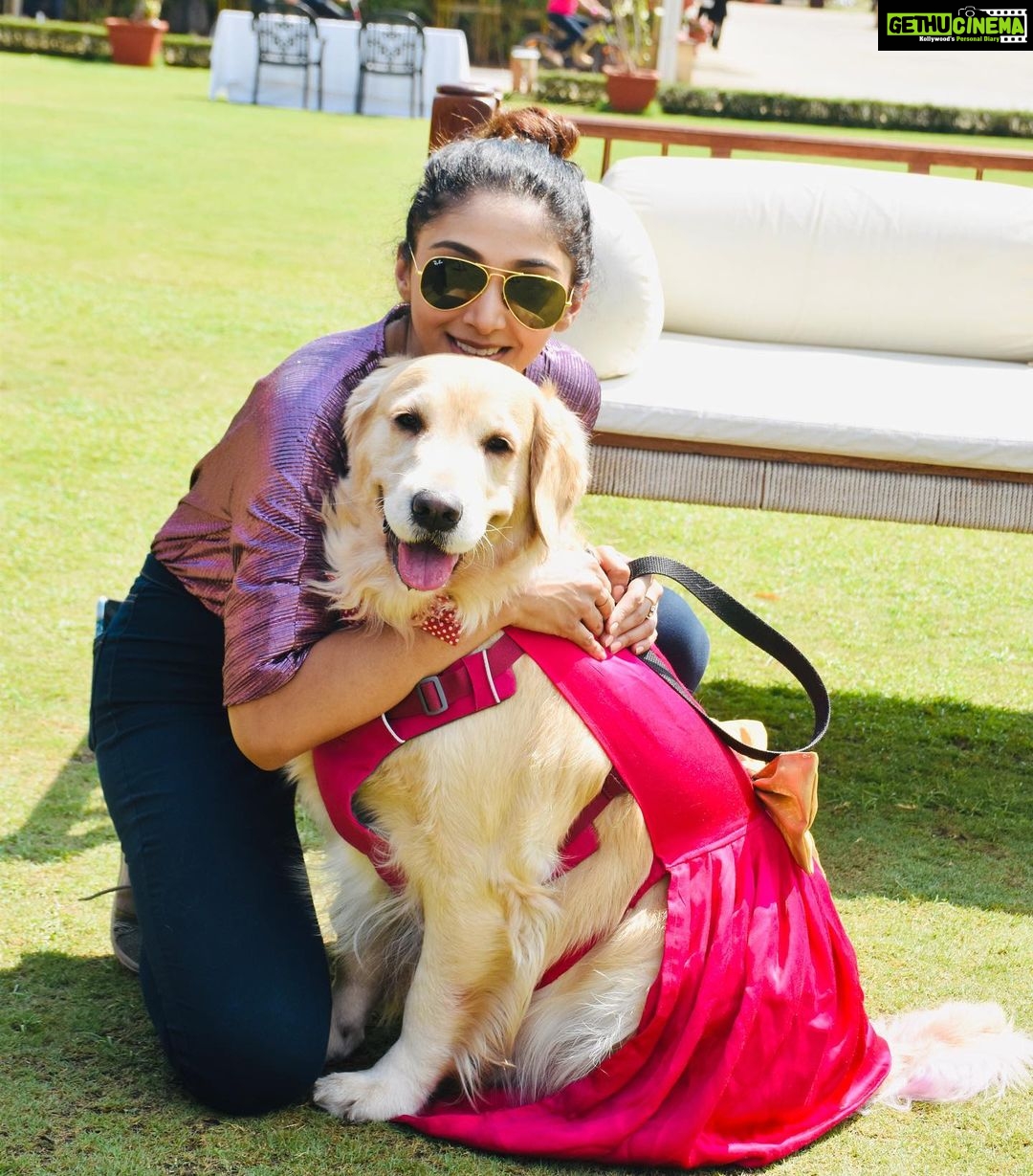 Natasha Doshi Instagram - Living to make this one’s tail wag ❤️🐶 . . . . #dogmom #dogmomlife #petparent #dogsofinstagram #natashadoshi #babynd #noraathegoldie #noraa #goldenretriever #goldenmom #goldensofinstagram #cutedogs #dogs #doggo #doglove #mybaby