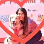 Natasha Doshi Instagram - Living to make this one’s tail wag ❤️🐶 . . . . #dogmom #dogmomlife #petparent #dogsofinstagram #natashadoshi #babynd #noraathegoldie #noraa #goldenretriever #goldenmom #goldensofinstagram #cutedogs #dogs #doggo #doglove #mybaby