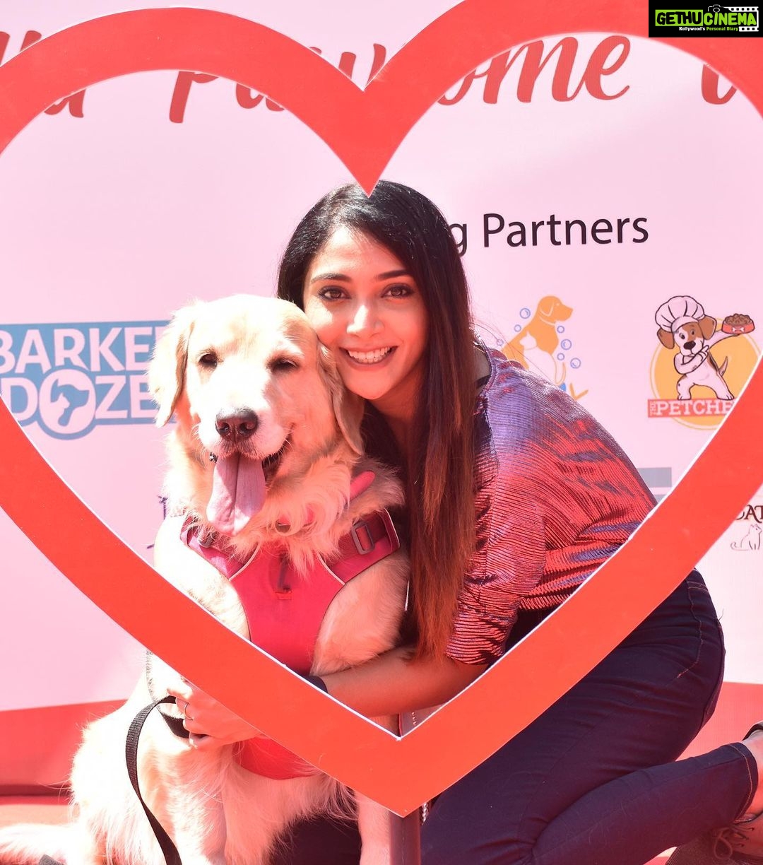 Natasha Doshi Instagram - Living to make this one’s tail wag ❤️🐶 . . . . #dogmom #dogmomlife #petparent #dogsofinstagram #natashadoshi #babynd #noraathegoldie #noraa #goldenretriever #goldenmom #goldensofinstagram #cutedogs #dogs #doggo #doglove #mybaby