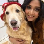 Natasha Doshi Instagram - Cuddle up 🫂 . . . . #goldenretriever #dogmom #noraathegoldie #natashadoshi #dogsofinstagram #cutedogs #dogoftheday #dogs #photogram #instagood #photooftheday #dogstagram Mumbai, Maharashtra