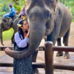 Neetha Ashok Instagram – The kind of hug I need in life 🥰🤗

Meet Baati, female elephant who is 38 years old rescued from Africa now living a happy life in @elephantsbali where they are taken care with all the love and yummy treats and dedicated staff who dedicate their life to take care of these rescued elephants. More power to @elephantsbali ❤️🤗 Mason Elephant Park & Lodge