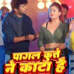 Nidhi Jha Instagram - Pagal Kutte Ne Kata Hai... Full song out on YouTube channel "Yash Kumar Entertainment"... Make reels and tag me friends ❤️❤️❤️ #YK #Yashkumar #yashkumarmusic #yashkumarentertainment #like #follow
