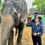 Nidhi Jha Instagram - फिल्म "हाथी मेरे साथी" के लिए लोकेशन और हाथी को फाइनल करने के लिए राजस्थान और केरला के दौरे पर अपनी टीम के साथ। फिल्म में तीन अलग अलग हाथियां होंगी। एक अलग कहानी और एक अलग ही इमोशन देखने को मिलेगा इस फिल्म में। अपना आशीर्वाद और प्यार बनाए रखें। हर हर महादेव आपका – यश कुमार