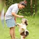 Nidhi Jha Instagram - Dekho maa mein apne pairo pe khada hoskta hu😎 #shihtzu #nidhijha
