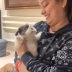 Nidhi Jha Instagram – Welcoming New member at our place
“Parle-G “♥️
Thank you baby  @yashkumarr12 for tolerating all my Nakraas❤️
I love you the most♥️🧿
#nemonikkuforever🧿❤️