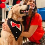 Nimika Ratnakar Instagram - My Bozzo grooving for Pushpavati 🐶 🐩 Happy new year to all 🥳 @darshanthoogudeepashrinivas @lavanyark_09 thanks for the capture darling 😘 #pushpavati #kranti #krantirevolutionfromjan26 #krantirevolutionfromjan26th #dboss #darshanthoogudeepasrinivas #nimika #nimikaratnakar #sandalwood #shakeitpushpavati #actor #model #doglover #dogsofinstagram #bozzo #instagram #instagood #reels #reelsinstagram #trendingreels #trending #trendingsongs #kannada #kannadasongs #kannadareels #retriever #retrieveroftheday