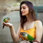Nimika Ratnakar Instagram – Your wings already exist. All you have to do is fly 👐🏻🕊🦜🦋

📸 @vinu5494 🤗 

@makeoverwith_rakshajain @rj_designerstudio😀

#photography #trending #trendingnow #trend #model #actor #photoshoot #shootmode #shoot #shooting #nimika #nimikaratnakar #sandalwood #tollywood #kannada #kollywood #bollywood #kannadaactress #heroine #actress #mua #fashion #vogue #birds  #birdsofibstagram  #bangalore #bangalorediaries