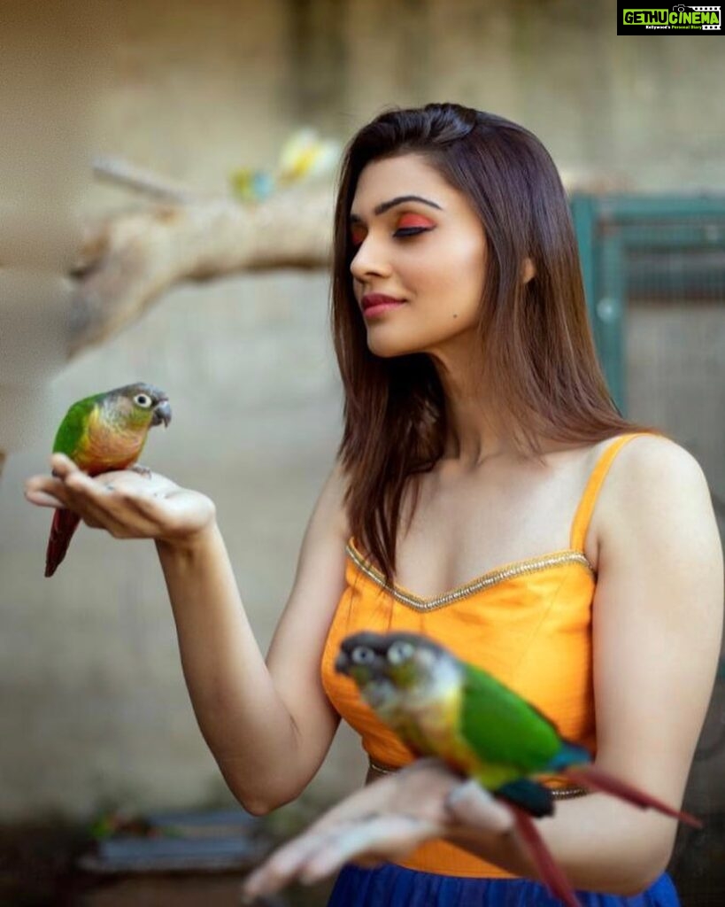 Nimika Ratnakar Instagram - Your wings already exist. All you have to do is fly 👐🏻🕊🦜🦋 📸 @vinu5494 🤗 @makeoverwith_rakshajain @rj_designerstudio😀 #photography #trending #trendingnow #trend #model #actor #photoshoot #shootmode #shoot #shooting #nimika #nimikaratnakar #sandalwood #tollywood #kannada #kollywood #bollywood #kannadaactress #heroine #actress #mua #fashion #vogue #birds #birdsofibstagram #bangalore #bangalorediaries