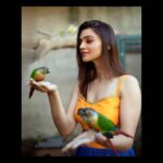 Nimika Ratnakar Instagram – Your wings already exist. All you have to do is fly 👐🏻🕊🦜🦋
Loved shooting for my dear darling friend @makeoverwith_rakshajain @rj_designerstudio😀
Very skilfully captured by the extremely talented @vinu5494 🤗 

#photography #trending #trendingnow #trend #model #actor #photoshoot #shootmode #shoot #shooting #nimika #nimikaratnakar #sandalwood #tollywood #kannada #kollywood #bollywood #kannadaactress #heroine #actress #mua #fashion #vogue #neon #birds #parrot #birdsofibstagram #makeup #mua #bangalore #bangalorediaries