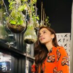 Nimika Ratnakar Instagram – Leaf me alone – I’m hanging with plants 🌱

#nimika #nimikaratnakar #selflove #green #dasara #kannada #sandalwood #actress #actor #dboss #model #trending #orange #karnataka #india