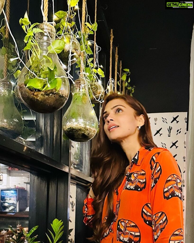 Nimika Ratnakar Instagram - Leaf me alone – I’m hanging with plants 🌱 #nimika #nimikaratnakar #selflove #green #dasara #kannada #sandalwood #actress #actor #dboss #model #trending #orange #karnataka #india