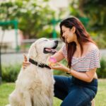 Nimika Ratnakar Instagram - Lifeline 🐾🦴🐶 Photo credits : @framesbyvikaskakolu #pushpavati #dboss #darshanthoogudeepasrinivas #nimika #nimikaratnakar #sandalwood #shakeitpushpavati #actor #model #doglover #dogsofinstagram #bozzo #instagram #instagood #reels #reelsinstagram #trending #kannada #retriever #retrieveroftheday #englishretriever #whiteretriever #doglovers #dogs