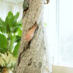 Nisha Agarwal Instagram - Uff this Coconut kaftan jacket in a georgette base with all-over peacock and floral print, mirror and multicolor sequin embroidery and tassel fringe on the hem , paired with printed circular pants and a mirror and sequin embroidered sleeveless blouse by @nupurkanoiofficial is such a vibe! Wearing @nupurkanoiofficial Decor @saffronstringofficial