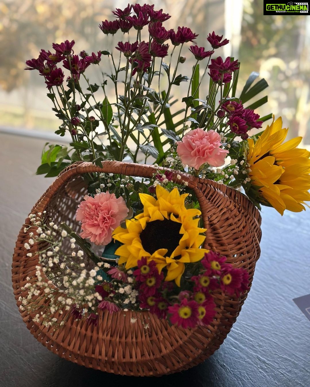 Nisha Agarwal Instagram - Yesterday ❤️ Thank you! Thank you! Thank you! For being a part of my journey and making it more beautiful. All your wishes mean the world to me ❤️ thank you! lots of love to each one of you. Nisha #birthday2023