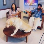 Nisha Sarangh Instagram - ‘ലെയ്ക്ക’ നാളെ തീയേറ്ററുകളിൽ . In Theatres From 31st March 2023 @nisha_sarangh @biju_sopanamoffl @sudheesh_actor @uppum__mulakum @uppummulakum_family_ . #laika #movieinterview #intheatres #movierelease #bijusopanam #nishasarangh #baiju #nassar #uppummulakum #bahubali #uppummulakumfamily #malayalamstatus #malayalammovie #malayalamreels #malayalammovie #malayalaminterview #film Kochi, India