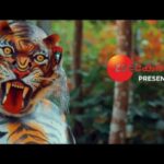Nisha Sarangh Instagram - ഓണത്തിന് ഞങ്ങള്‍ എരിവും പുളിയുമായി നിങ്ങളുടെ സ്വന്തം zee keralayil ഉത്രാടം മുതൽ ചതയം വരെ...