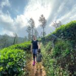 Nithya Das Instagram - Morning#sunrise#nature#fitness#inspiration#naturephotography#natureallaround#naturallightphotography#mannuandme#relaxing#family#love#coffeestate#