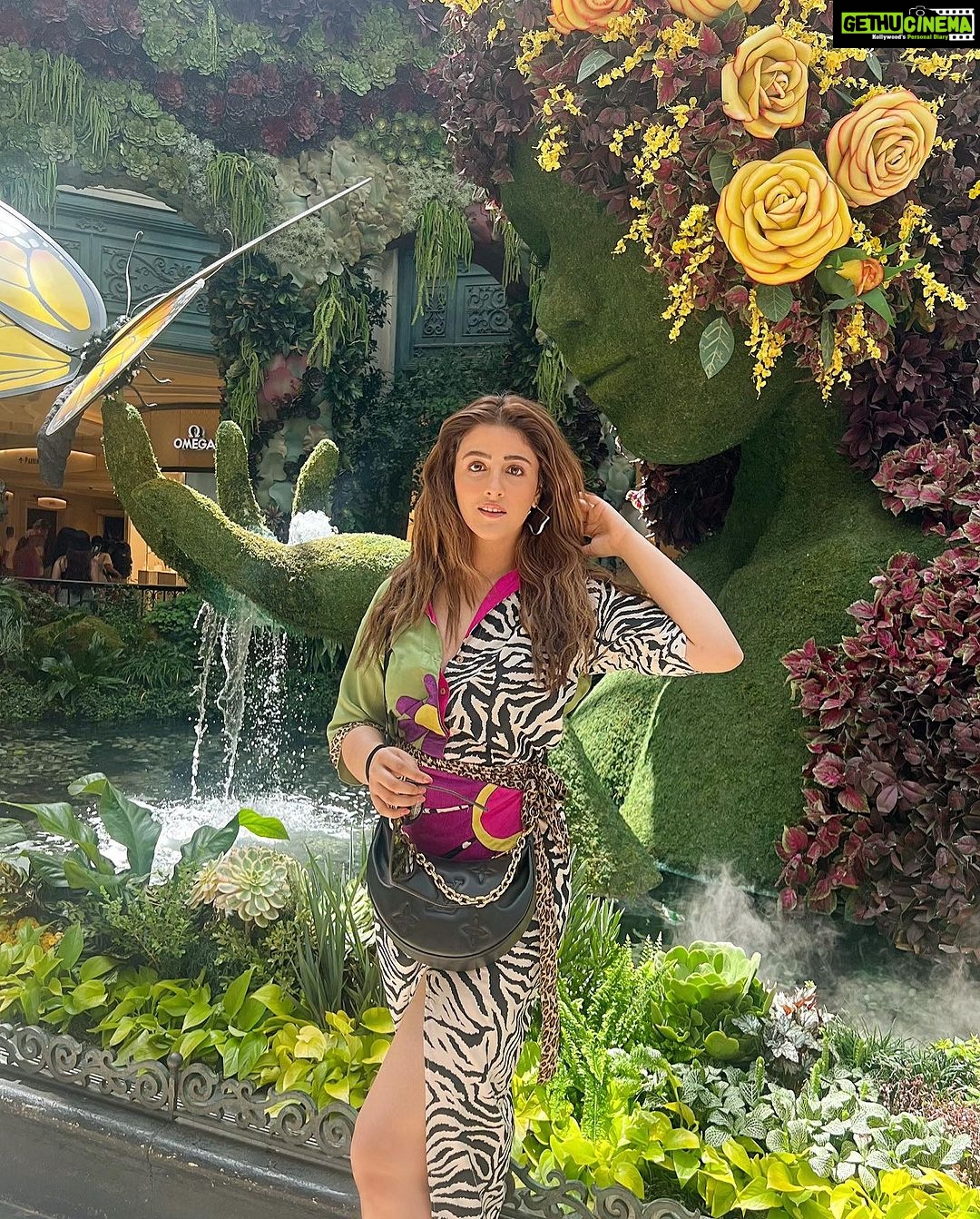Nupur Sanon Instagram - Of Flowers,Butterflies and Happy Eyes 🦋🦋🦋🦋💛💛💛💛