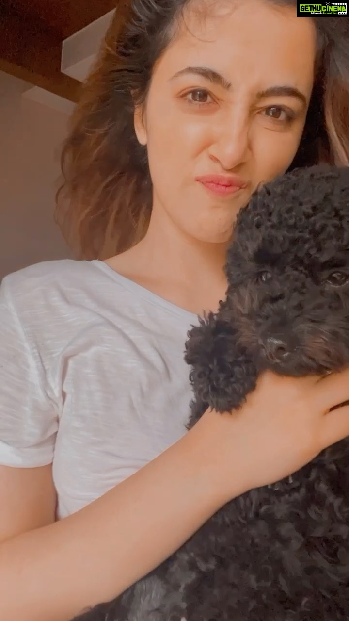 Nupur Sanon Instagram - Because I was asked to REEL it by literally everyone I know! β₯οΈπ Say Hi to ZOEY...who bdw was a little confused and I was trying to calm this little doll ! πΎπ€ππΌ #dogsofinstagram #pawday #dogmom