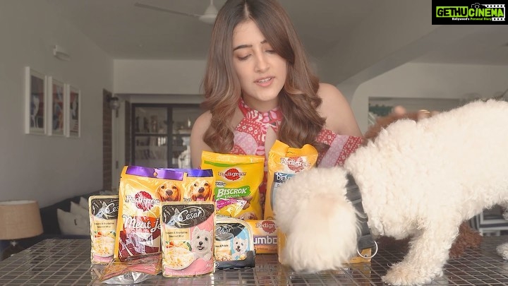 Nupur Sanon Instagram - Got these amazing gifts from @amazondotin for Disco and Phoebe and look how much they enjoyed it all! ๐๐พ ๐ถ Packed with nutrition and amazing taste, I think they are definitely in the @pedigree_india and @cesarcuisine family now! ๐ฏ You too can go and check out some amazing deals and offers available during the #AmazonGreatIndianFestival and gift your pups happiness! โบ๏ธ #Amazonpets #AmazonGifting #PedigreeXAmazonPets #CesarXAmazonPets