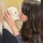 Nupur Sanon Instagram - Happy birthday my babyboy♥️ This little guy is so special!! He’s like this little furball of magic that exactly knows when I’m needy so he begins wagging his tail and jumps on me,let’s me do the annoying boops all the time,let’s me use him like my personal tissue box to wipe my tears when I’m crying! Ahh I’m So thankful for all the selfless love and licks!! 🥺🐾 To growing up together but never letting anybody steal the child out of our hearts!! I love you but I love your pawfect bum more 🍑👀😍 #Disco #Mybaby #happybirthdaylove #BestBoi