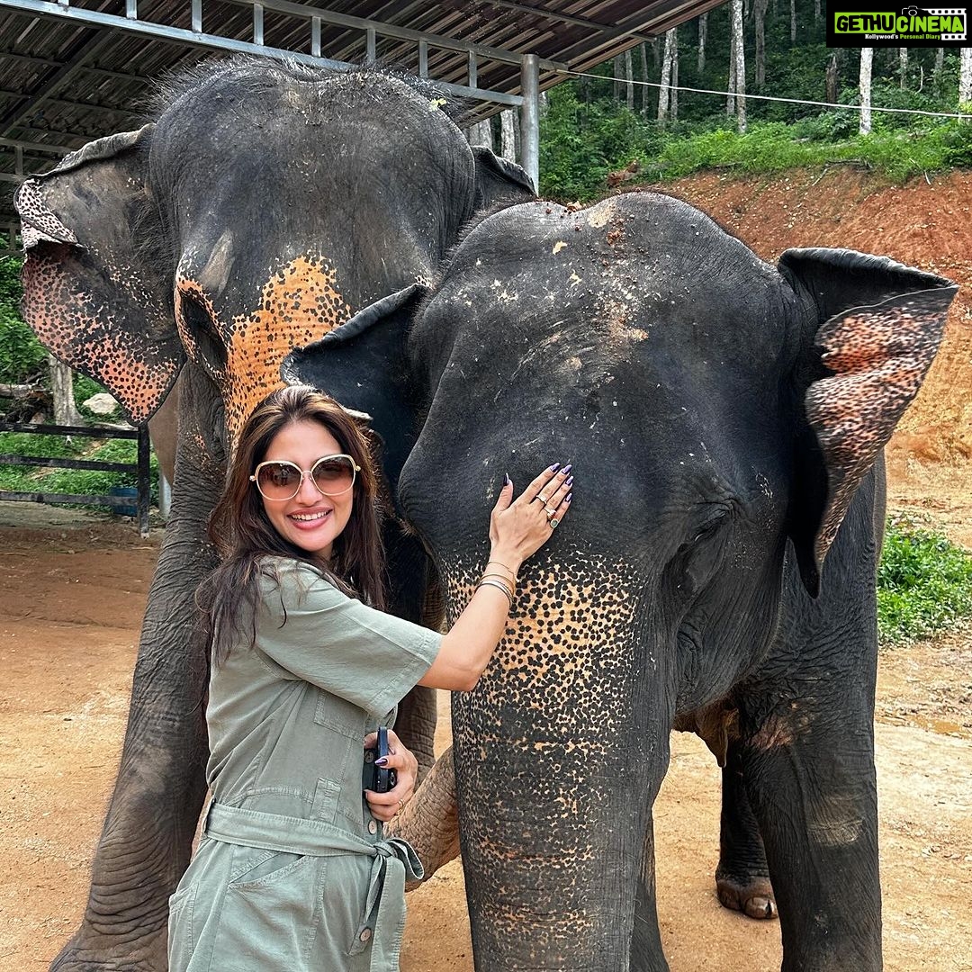 Nusrat Jahan Instagram - Major Missing.. #bulbul #elephant #favanimal #cuteness