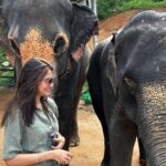 Nusrat Jahan Instagram – Major Missing.. #bulbul #elephant #favanimal #cuteness