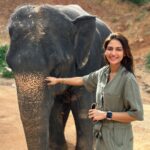 Nusrat Jahan Instagram - Major Missing.. #bulbul #elephant #favanimal #cuteness
