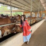 Palak Sindhwani Instagram - All About my Visit at @artofliving Ashram! ❤️ One fine day, While I was a bit lost, busy working on the set, I got a call from a friend asking about whether I would like to visit the ashram and meet Gurudev, I said I would love to but I’m not sure about my schedule.🫢 She replied back saying - leave that all to Gurudev, He’ll handle everything, exactly after 5 days, I was in the Ashram, I don’t know how, when… but It just happened because it was bound to happen and I can’t express in words How I felt after meeting Him, It was so divine and magical, Truly a moment which I’m going to cherish all my life. 🦋 Thank you Gurudev for choosing me when I needed a guiding light, A friend, A mentor, My heart is full, Thank you! ✨ . . #postoftheday #instamood #gratitude #aol #artofliving #blessed #fyp #palaksindhwani