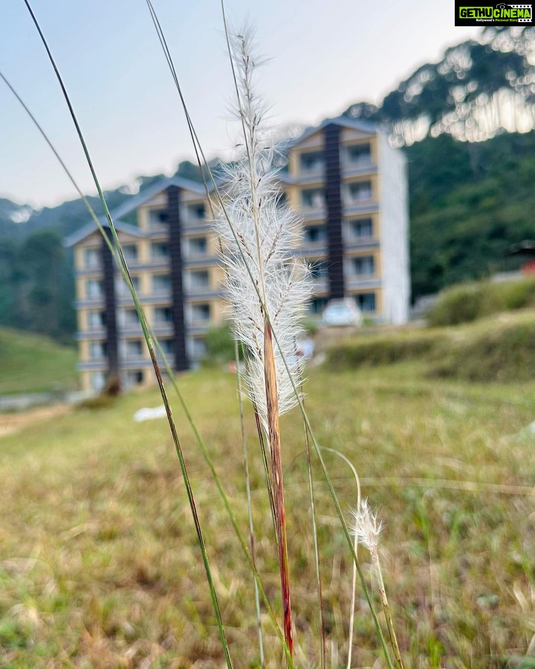 Palak Sindhwani Instagram - Dharamshala through my Lens..✨ These 4 Days in Silence were actually Life changing, Thank You @dkashikar @artofliving_dharamshala @shwetavyas1305 for making us feel like Home. 🧘♀️ Thank you Gurudev for walking with me on this journey we call Life, Grateful for you every moment. 💗 And To my extended family, my well wishers, I would like to say Just take some time out of your busy schedule and Do something which makes your soul happy, Let’s try to live in the alignment with our soul Purpose even some of us don’t know it yet, Affirm and Believe - I only attract what aligns with my soul purpose and see how you’ll be redirected to where you are meant to be! 🤗 . . #aol #silence #peace #nature #dharamshala #gratitude #blessed #palaksindhwani Sukoon