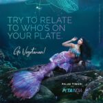 Palak Tiwari Instagram – Making a splash for Vegetarian Awareness Month with @PetaIndia. 🐟 

Leave fish in their ocean homes and embrace a kinder plate! 🌱 

#VegetarianAwarenessMonth #FriendsNotFood #PalakTiwariForPETAIndia #PeeTee 

Ad shot by @tejasnerurkarr, hair and make-up by @meghnabutanihairandmakeup and styling by @manekaharisinghani