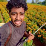 Pallavi Prashanth Instagram - Malla vachina antey thagedhey le💪#jai jawan jai kisan 🌾🌾#reels #farmer