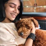 Pavithra Lakshmi Instagram - Issa #coffeetales ❤️ 🐶 #coffeetheyoypoodle