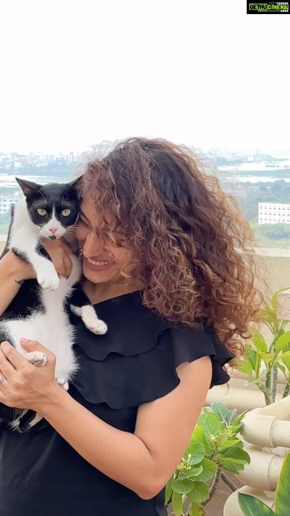 Pooja Ramachandran Instagram - A moment with my mone.. 😻 #tuxcat #indie #iadopt #adoptdontshop #blackandwhitecat