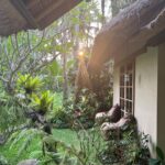 Pooja Ramachandran Instagram – Blessed are the moments filling us with joy.
#bali #balivacation #ubud #kutabeach #semenyak #balilife #balipalace #ricefields #airbnb #travelgram #travel #travellife #kiaankokken #livetolove