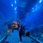 Poonam Dubey Instagram - 😍😍😍😍😍 Aquarian baby In aquarium Dubai Mall Aqaurium
