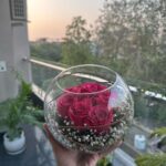 Poonam Preet Bhatia Instagram – Heart full of love 💖 Creating beautiful memories with my first loves. 🥰 🧿🧿

#delhidiaries #home #peaceful #besttime #bestparents