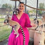 Prachi Tehlan Instagram - DISCLAIMER❗️ Don’t miss watching till end to see the baby Lemur jump towards the camera 🥹🥹🥹 @thezoowildlifepark #lemur The Zoo Wild Life Park