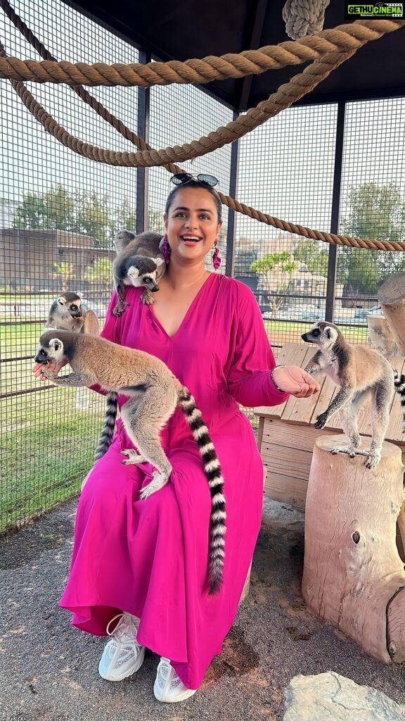 Prachi Tehlan Instagram - DISCLAIMER❗️ Don’t miss watching till end to see the baby Lemur jump towards the camera 🥹🥹🥹 @thezoowildlifepark #lemur The Zoo Wild Life Park