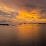 Prachi Tehlan Instagram - ❤️ #eveningsbelike Marine Drive, Cochin, Kerala